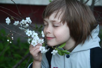 Нижний Новгород. Мальчик держит в руке ветку цветущей вишни.