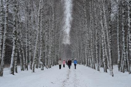 Нижегородская область. Туристы идут к озеру Светлояр, с которым связана легенда о затонувшем городе Китеже.