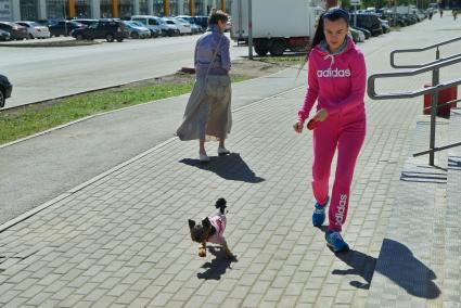 Екатеринбург. Девушка гуляет с маленькой собачкой