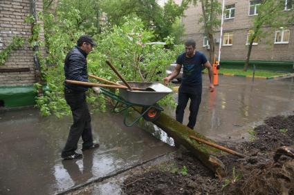 Москва.  Последствия урагана в городе.