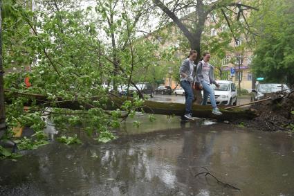 Москва. Последствия урагана в городе.