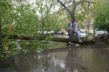 Москва.  Последствия урагана в городе.