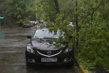 Москва.  Последствия урагана в городе.