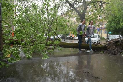 Москва. Последствия урагана в городе.