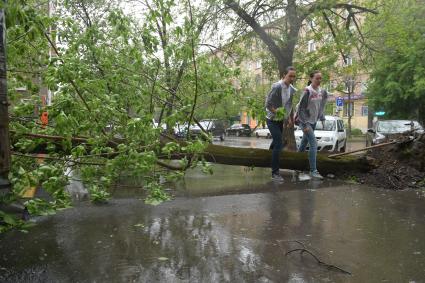 Москва.  Последствия урагана в городе.