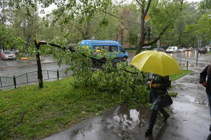 Москва.  Последствия урагана в городе.