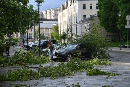 Москва. Последствия урагана в Москве.