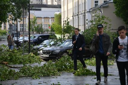 Москва. Последствия урагана в Москве.