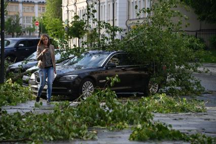 Москва. Последствия урагана в Москве.