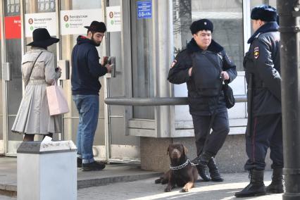 Москва. Усиление мер безопасности в московском метрополитене после взрыва в вагоне метро в Санкт-Петербурге. Сотрудник полиции с собакой возле входа на станцию метро `Белорусская`.