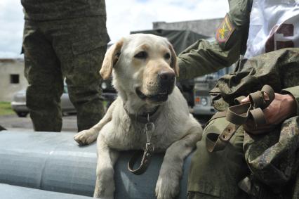 Хабаровск.  Военнослужащий с собакой на полигоне во время соревнований кинологов `Верный друг`.