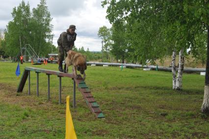 Хабаровск. Военнослужащий с собакой на полигоне во время соревнований кинологов `Верный друг` .