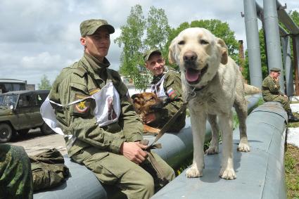 Хабаровск.  Военнослужащие с собаками на полигоне во время соревнований кинологов `Верный друг`.