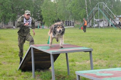 Хабаровск. Военнослужащий с собакой на полигоне во время соревнований кинологов `Верный друг` .