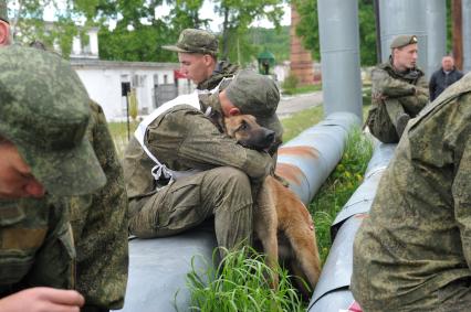 Хабаровск. Военнослужащий с собакой на полигоне во время соревнований кинологов `Верный друг` .