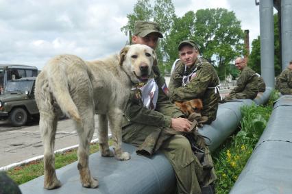 Хабаровск.  Военнослужащие с собаками на полигоне во время соревнований кинологов `Верный друг`.