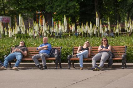 Москва. Отдыхающие в парке Горького.