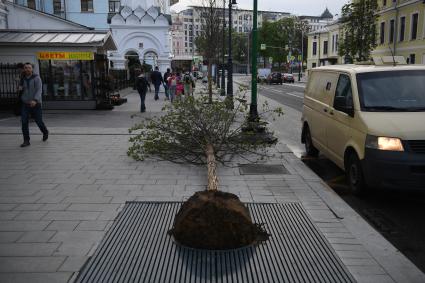 Москва. Последствия урагана в городе.