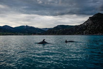 Крым, Новый Свет.  Вид на поселок с моря.