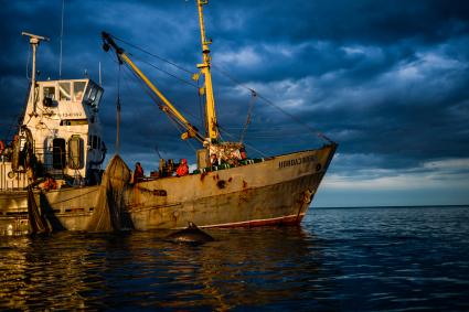 Крым, Новый Свет. Вид на море.