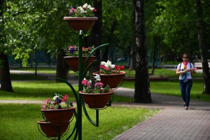 Москва. Газон, скамейки и клумбы во  дворе  первой хрущевки  на улице Гримау  16.