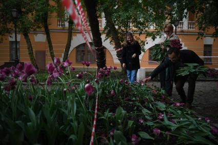 Москва. Горожане собирают тюльпаны, сломанные после урагана в сквере у дома Н.В. Гоголя на Никитском бульваре.