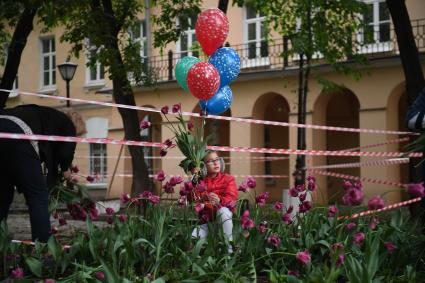 Москва. Горожане собирают тюльпаны, сломанные после урагана в сквере у дома Н.В. Гоголя на Никитском бульваре.