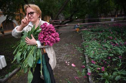 Москва. Женщина собирает тюльпаны, сломанные после урагана в сквере у дома Н.В. Гоголя на Никитском бульваре.