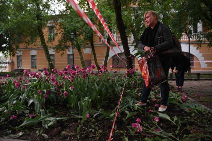 Москва. Женщина собирает тюльпаны, сломанные после урагана в сквере у дома Н.В. Гоголя на Никитском бульваре.