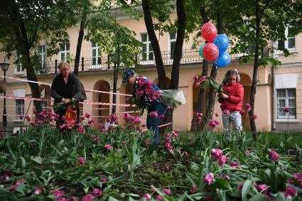 Москва. Горожане собирают тюльпаны, сломанные после урагана в сквере у дома Н.В. Гоголя на Никитском бульваре.