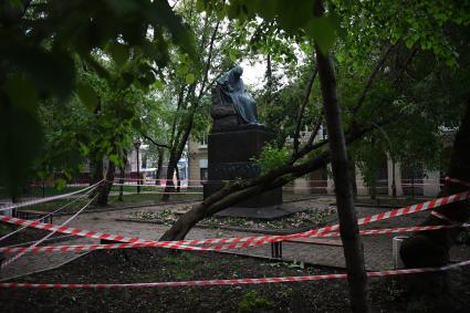 Москва. Деревья, погнувшиеся после урагана , в сквере у памятника Н.В. Гоголя на Никитском бульваре.