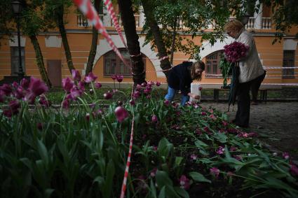 Москва. Горожане собирают тюльпаны, сломанные после урагана в сквере у дома Н.В. Гоголя на Никитском бульваре.