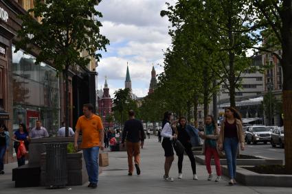 Москва. Зеленые липы на Тверской улице.