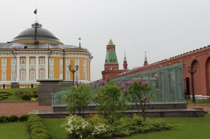 Москва. Вид на Сенатский дворец в Кремле.