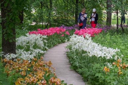 Москва. Цветущие тюльпановые аллеи  в саду  Аптекарского сада.