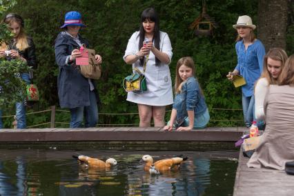 Москва. Посетители фотографируют уток в пруду   Аптекарского сада.