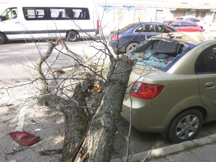 Москва.  Автомобиль, поврежденный упавшим деревом во время урагана на одной из улиц города.