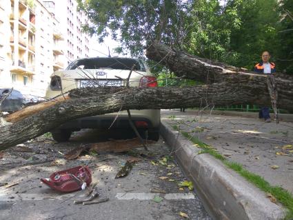 Москва.  Автомобиль, поврежденный упавшим деревом во время урагана на одной из улиц города.