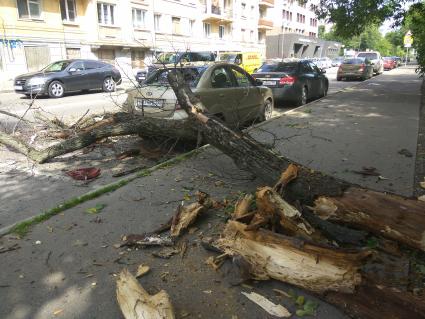 Москва.  Автомобиль, поврежденный упавшим деревом во время урагана на одной из улиц города.