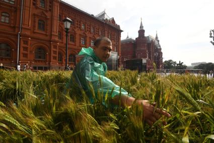 Москва. Подготовка к открытию фестиваля `Московское лето` на площади Революции.