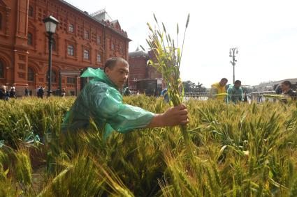 Москва. Подготовка к открытию фестиваля `Московское лето` на площади Революции.