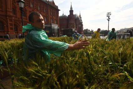 Москва. Подготовка к открытию фестиваля `Московское лето` на площади Революции.