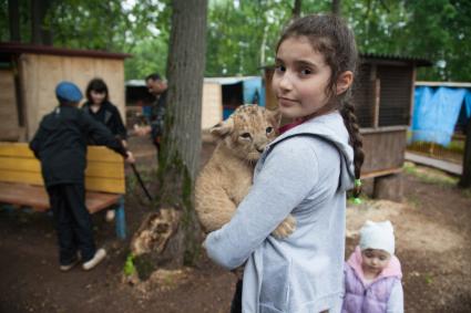 Уфа. Девочка  держит тигренка.