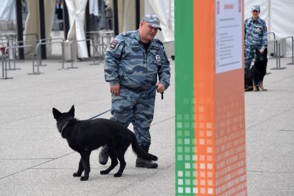 Московская область, Жуковский.   Полицейский с собакой  на XIII Международном авиационно-космическом  салоне  МАКС-2017.