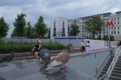Москва. Реставрация памятника А.С.Пушкина на Пушкинской площади.