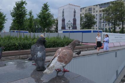 Москва. Реставрация памятника А.С.Пушкина на Пушкинской площади.