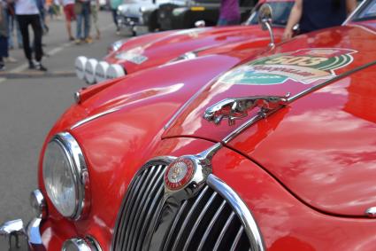 Москва. Участник  ГУМ-авторалли Gorkyclassic-2017  на  автомобиле `Jaguar ` перед стартом гонки .