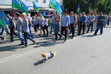 Барнаул.  Десантники во время празднования Дня Воздушно-десантных войск России.