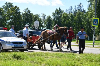 Московская область, Бородино. Перед началом турнира `Живые шахматы` на территории  Бородинского военно-исторического музея-заповедника.