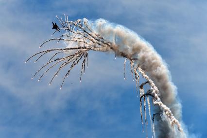 Новосибирская область.  Самолет  Су-30 СМ пилотажной группы `Русские витязи` в небе во время авиашоу `Взлетай, мой край родной!` на аэродроме Мочище.